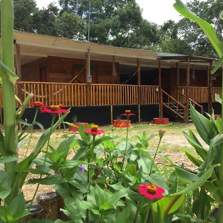 Hostal Cano Nevera La Macarena Bagian luar foto