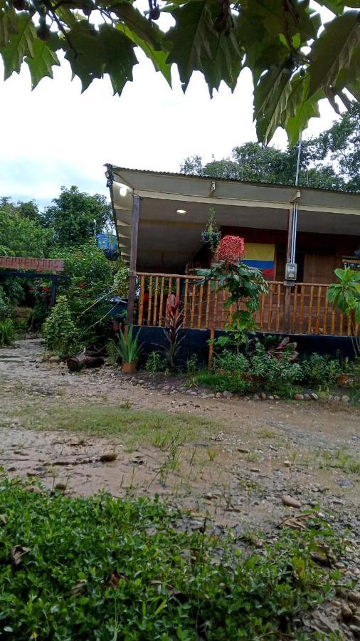 Hostal Cano Nevera La Macarena Bagian luar foto